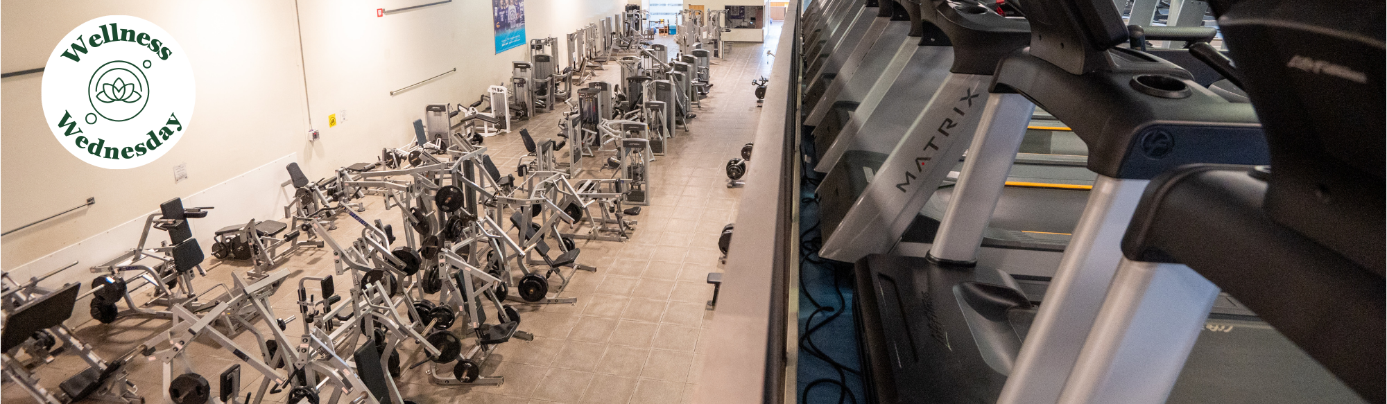 image of a number of exercycles with large picture window in front