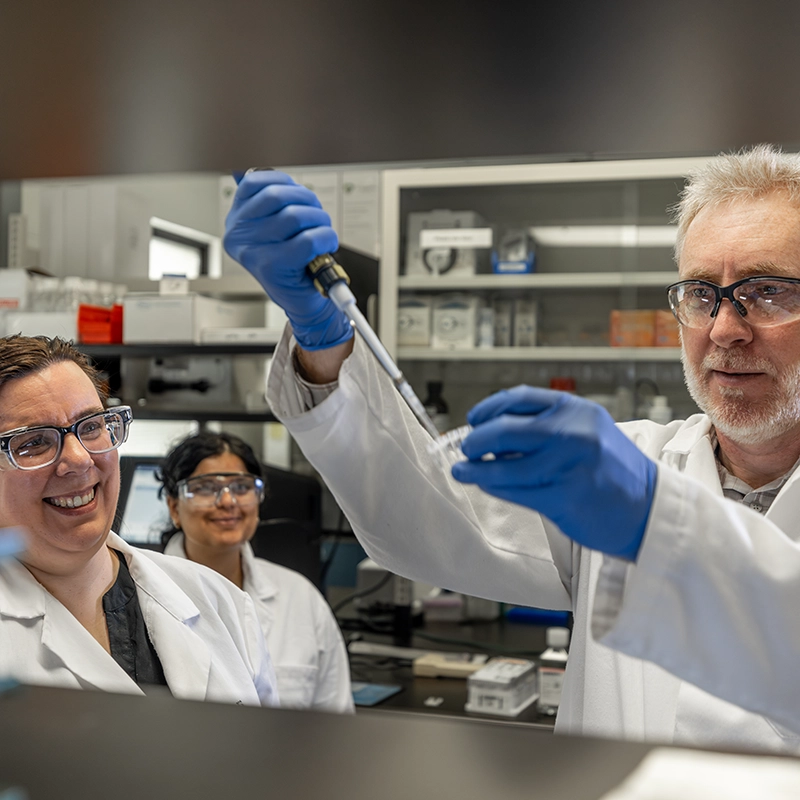 Researchers work in a lab in at Robarts Research Institute